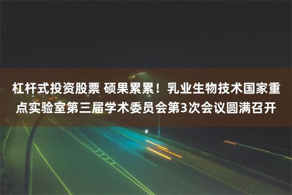 杠杆式投资股票 硕果累累！乳业生物技术国家重点实验室第三届学术委员会第3次会议圆满召开