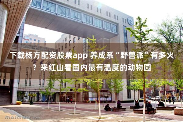 下载杨方配资股票app 养成系“野兽派”有多火？来红山看国内最有温度的动物园