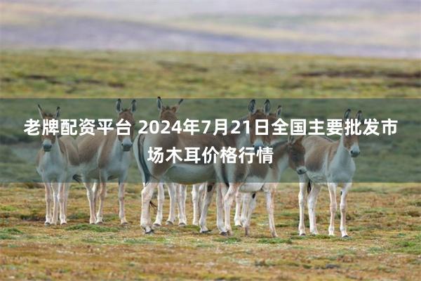 老牌配资平台 2024年7月21日全国主要批发市场木耳价格行情