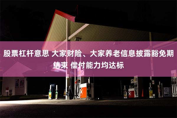 股票杠杆意思 大家财险、大家养老信息披露豁免期结束 偿付能力均达标