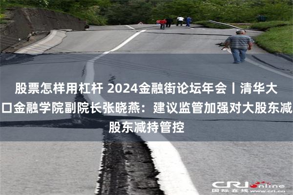 股票怎样用杠杆 2024金融街论坛年会丨清华大学五道口金融学院副院长张晓燕：建议监管加强对大股东减持管控