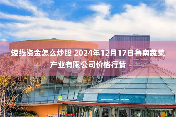 短线资金怎么炒股 2024年12月17日鲁南蔬菜产业有限公司价格行情