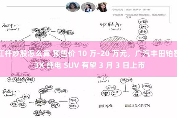 杠杆炒股怎么算 预售价 10 万-20 万元，广汽丰田铂智 3X 纯电 SUV 有望 3 月 3 日上市